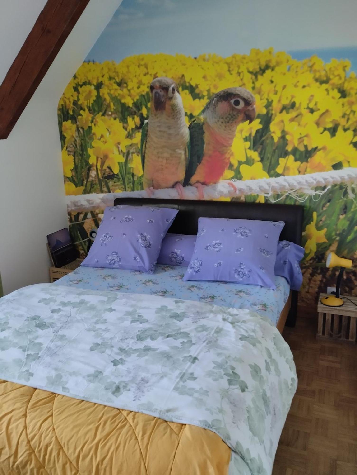Chambres D'Hotes Du Clos Du Roi Pontorson Dış mekan fotoğraf